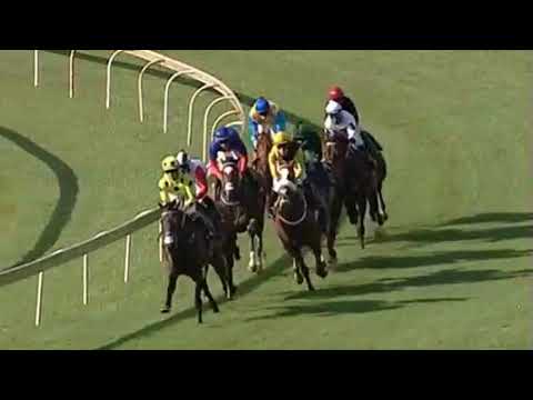 Legal Eagle wins the 2018 Horse Chestnut