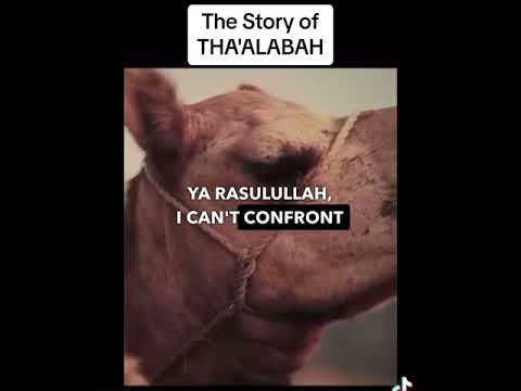 The story of Tha’labah RA