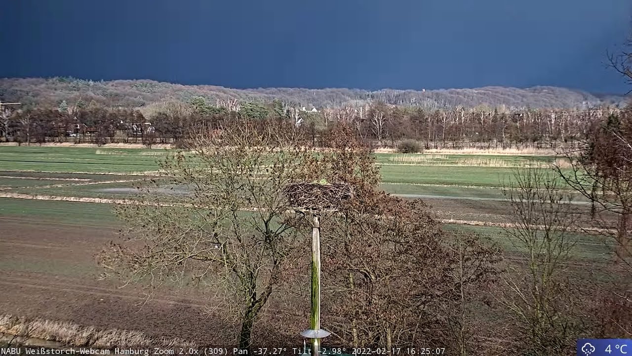 Live webcam view of White Stork Nest Cam in Curslack