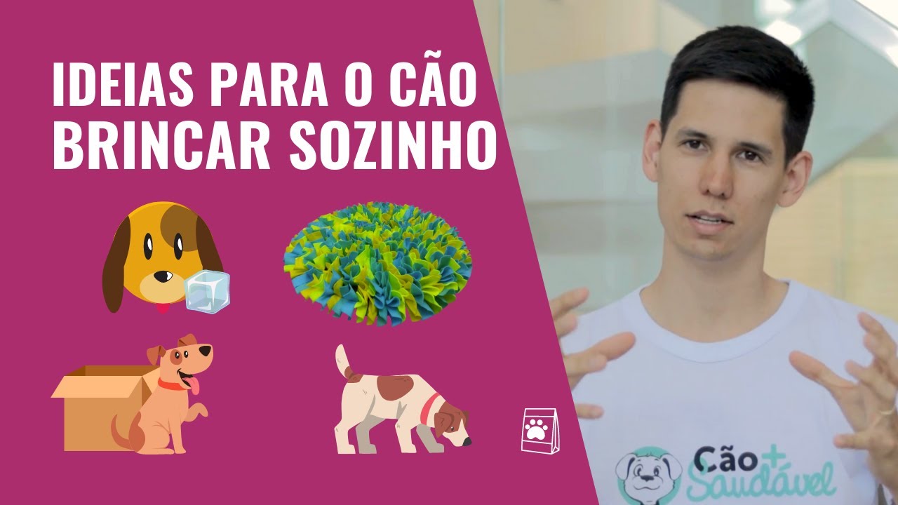 5 ideias de brinquedos para CACHORRO BRINCAR SOZINHO (EA)