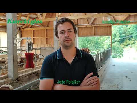 POLAJŽERJEVI SAMI ZGRADILI POPOLNOMA NOV HLEV