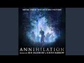 Annihilation