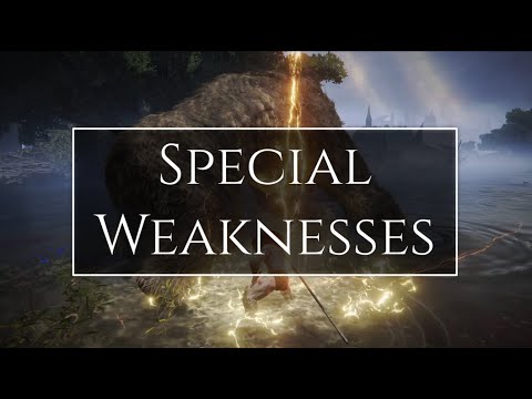 Special Weaknesses in Elden Ring | Quick Overview