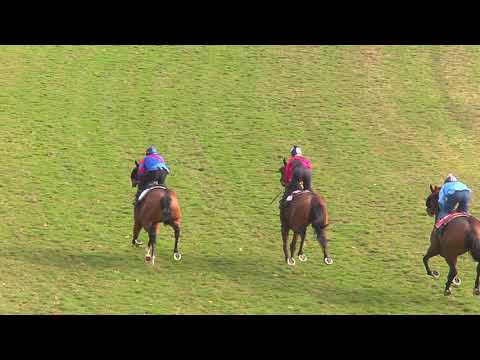 Barrier Trials 3 - 900m - Rockhampton 8/7/2019