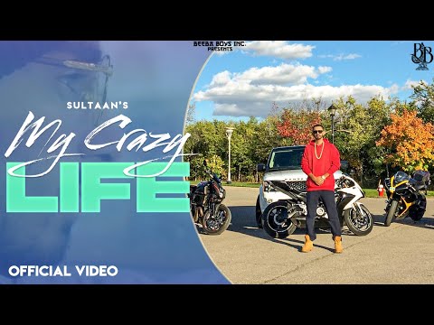 My Crazy Life DMG Records — watch video