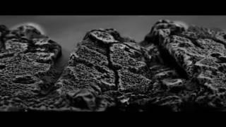 Ich öffne mich - Tocotronic