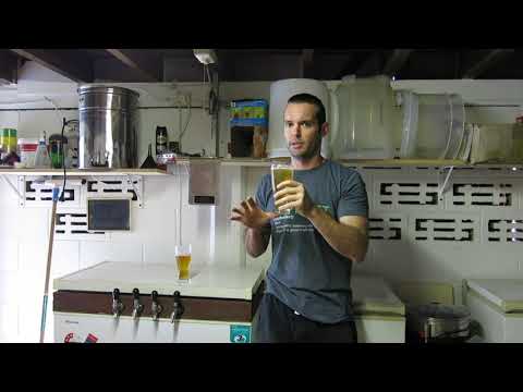 HBW #99 What to do when a fly ruins your brew