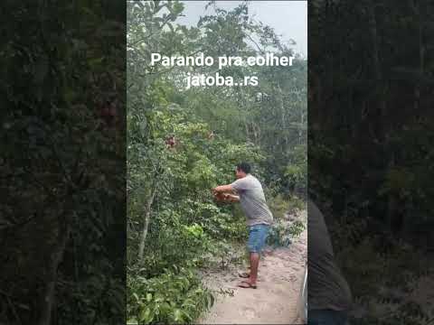 13 de julho de 2026