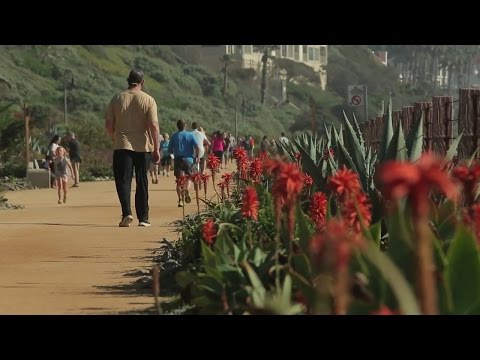 Border to Border: A Quick Overview of the California Coastal Trail
