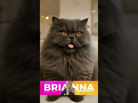 Eloise Playz and 2 more