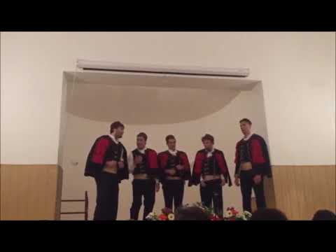 Klapa Adriaticum - Bila golubice