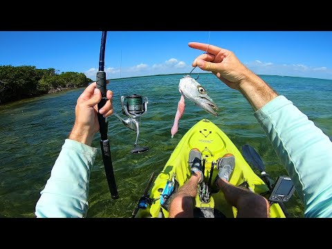A Toothy Day in Key Largo - Florida Keys Fishing Experience Day 5