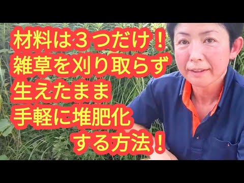 自然に土地をきれいにする方法は？雑草とイバラの駆除方法をご紹介します！  庭園