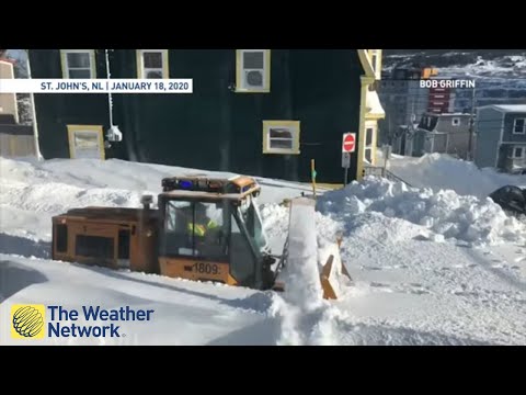 Even Newfoundlanders are amazed by the amount of snow