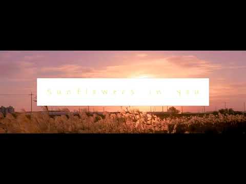 Davide Delvecchio - Sunflowers in you (official video)