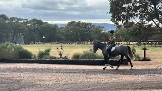 Shades of Grey stepping out at Euroa Horse Park