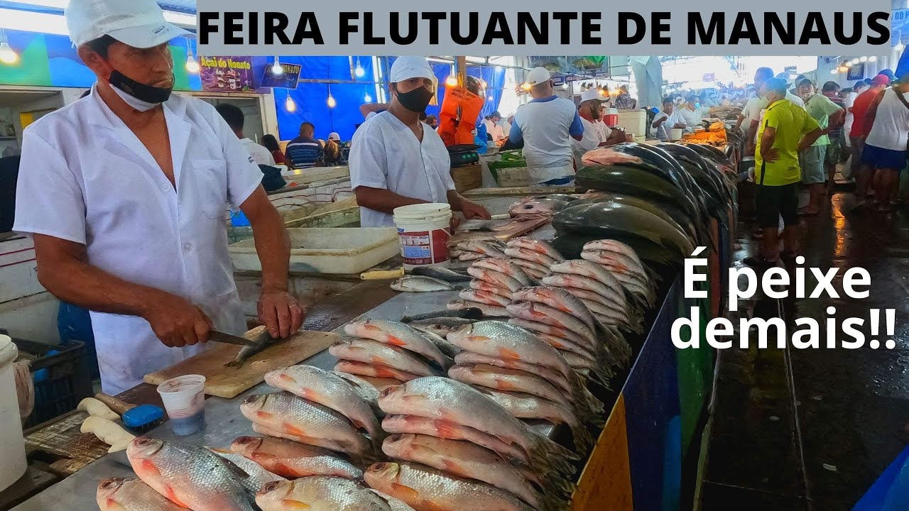 Visitei a primeira feira flutuante do Brasil, em Manaus - Mercado de Peixe