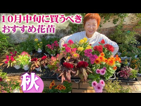 美しい花の咲くバルコニー