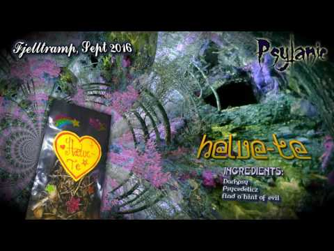 Psytanic:  Fjelltramp Dj Set: Helve-Te - Darkpsy Forest September 2016