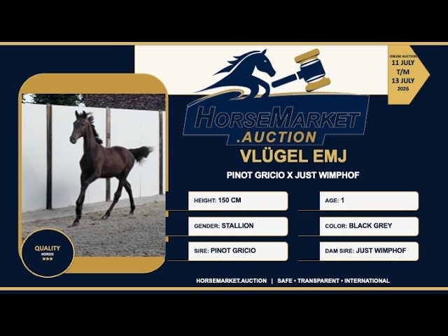 Vlügel EMJ