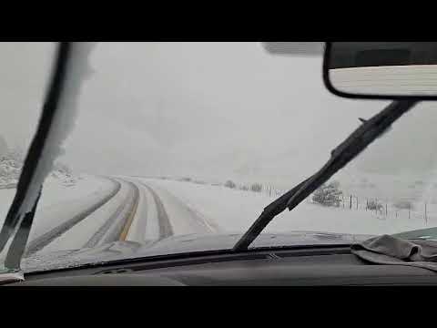 Así amanecimos en el tramo El Llano, entre Andacollo y La Primavera, camino a Chos Malal ❄️ #Neuquén