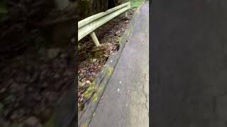 樫内利政 撮影　GoGoNBC 明日は試合です