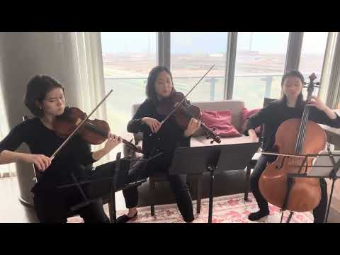 Promotional video thumbnail 1 for The Graceful String Trio