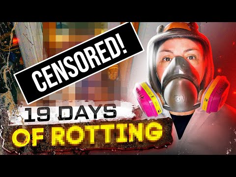 19 Days of Rotting