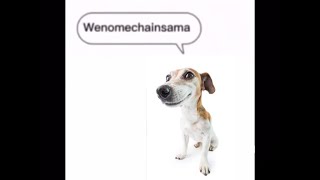 Cover art for Wenomechainsama