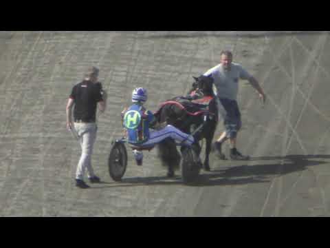 2019-07-12-ponnylopp kat A-intervju