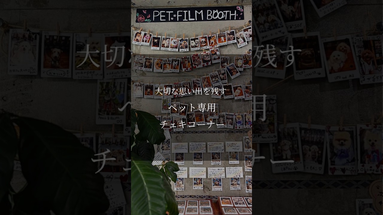 チェキブース動画サムネイル