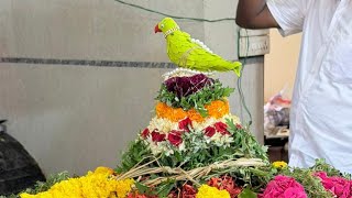 உச்சிகொடைகொடிமரம்வெட்டுதல்பிரமாண்ட ஐஸ்வர்ய சுடலை