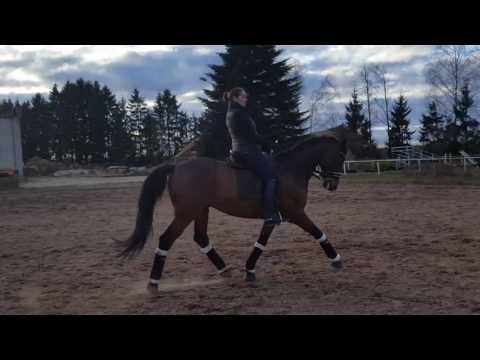 DAHAB 26.04.17 training