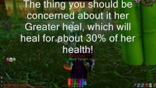 Soloing ZG: Bat Boss