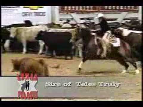 SDP Buffalo Ranch - Lenas Telesis