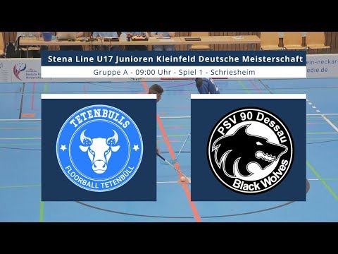 U17 DM 2017 | Gruppe A - SG Tetenbüll/Wyk - PSV 90 Dessau