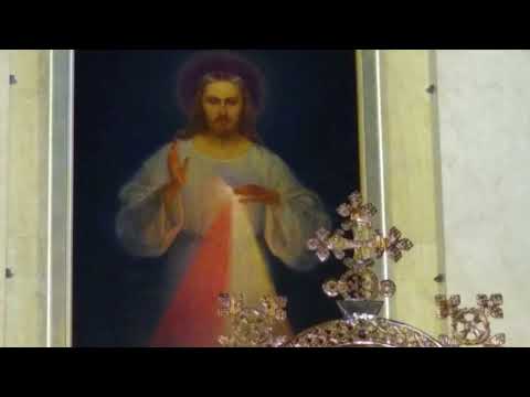 Homilija #486 Misijų sekmadienis; problemos, kurios susiranda tave pačios (Šv. Beato Bartolo Longo)