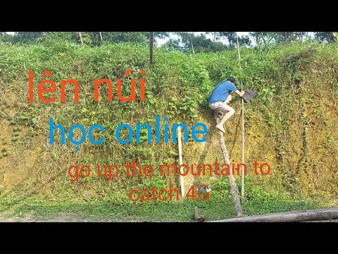 Thử thách 24h làm sinh viên, lên núi bắt sóng 4G học online -  Going up the mountain to catch 4G