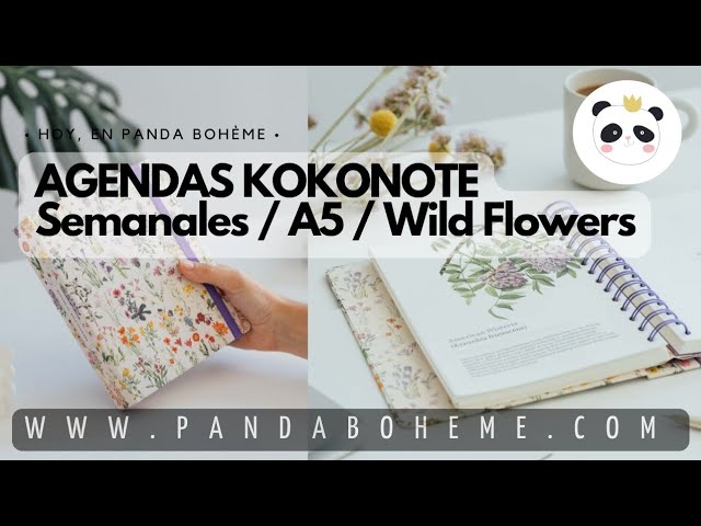 Vídeo relacionado con Moleskine Agenda Semanal 2026 2027 - Agenda de 18 meses con espacio para notas, tapa blanda y cierre elástico, color negro, formato XL 19 x 25 cm