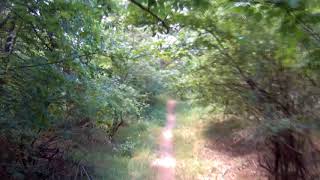 Velencei-hegység 2017.06.11.