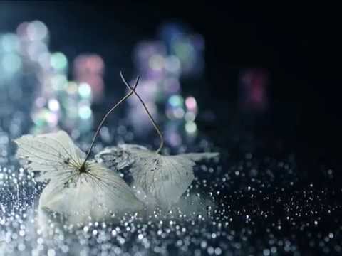 We Are All Astronauts - Once