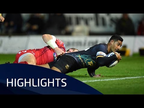 Northampton Saints v Scarlets (Pool 3) Highlights - 14.11.2015