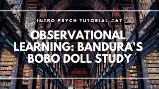 Observational Learning: Bandura's Bobo Doll Study (Intro Psych Tutorial #67)
