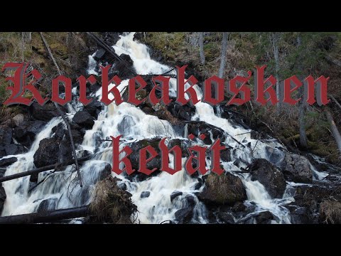 Kuopion tulipaikat | Korkeakoski