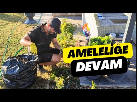 Bahçenizi Cennete Dönüştürün: Adım Adım Peyzaj, Çiçek Ekim ve Çim Bakım Rehberi!