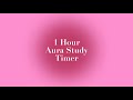 Ultimate 1-Hour Pink Aura Study Timer | No Breaks | Boost Productivity and Focus