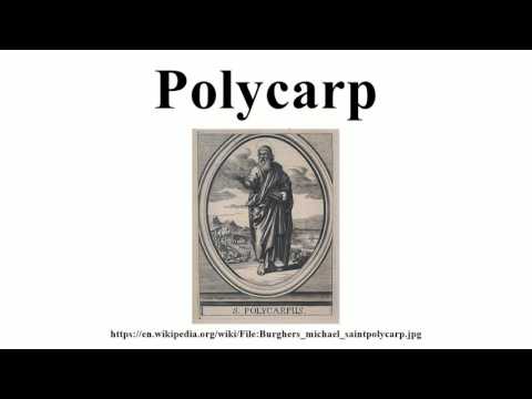 Polycarp