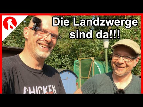 400km für drei Landzwerge - sie sind da !!!!   Jensman and the Huhns F189
