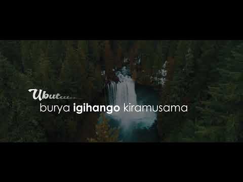 Uzabe Intwari By Niyo Bosco official video Lyrics