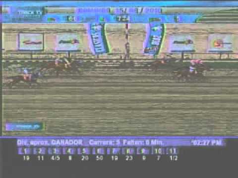 Resumen Domingo, 15 de Agosto de 2010 - La Rinconada